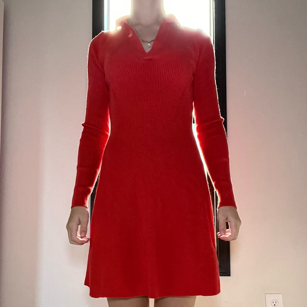 Zara Fitted Dress